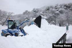 Salju di Pulau Jeju, Korea Selatan. (Foto: Yonhap News)