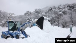 한파와 폭설이 몰아친 19일 제주 한라산국립공원 어리목 코스에서 공원 관계자가 중장비를 이용해 제설하고 있다.