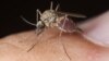 Malária recua em Moçambique