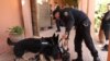 Un policier fait renifler des bagages par un chien à Marrakech, au Maroc, 6 mai 2015