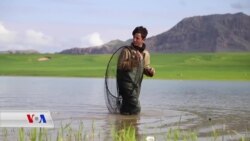 ڕێگەیەکی نوێی ڕاوەماسی لە دەربەندی ڕانیە