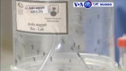 Manchetes Mundo 2 Fevereiro 2016