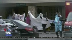 اخبار شامگاهی
