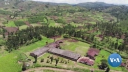 Une usine de thé sur la ligne de front dans le Kivu