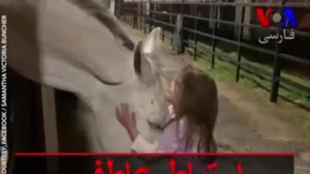 سکس زن واسب