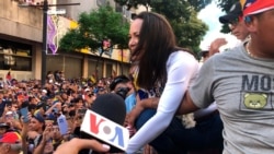 La oposición política venezolana denuncia un golpe de Estado en Venezuela
