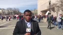 Ki sa ki Dwe Fèt pou Rezoud Vyolans ak Zam Ozetazini? Kèk Sitwayen Ap Eksplike