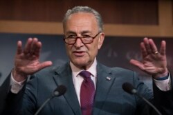 FILE - Senate Minority Leader Chuck Schumer of New York speaks to reporters on Capitol Hill in Washington, July 28, 2017.