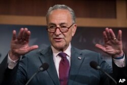 FILE - Senate Minority Leader Chuck Schumer of New York speaks to reporters on Capitol Hill in Washington, July 28, 2017.