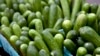 Retiran pepinos del mercado por brote de salmonelosis