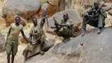 A plane carrying 96 U.N. peacekeepers and a crew of four was shot at while landing at Kadugli airport in Southern Kordofan where the Sudanese Armed Forces and SPLM-North rebels (shown) have clashed. 