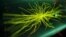 Graphic showing traces of Higgs boson, the elusive 'God particle' believed to give objects mass
