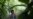 Rio Residents Try to Bring Green to a Concrete Jungle