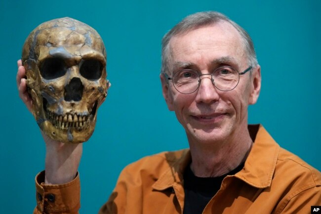 FILE - Swedish scientist Svante Paabo poses with a replica of a Neanderthal skeleton at the Max Planck Institute for Evolutionary Anthropology in Leipzig, Germany, Monday, Oct. 3, 2022. (AP Photo/Matthias Schrader)