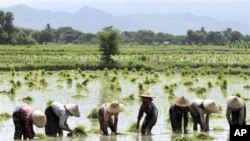 ရက် ၁၀၀ မြန်မာအစိုးရ သိသာတဲ့ စီးပွားရေးပြုပြင်ပြောင်းလဲမှု မလုပ်သေး
