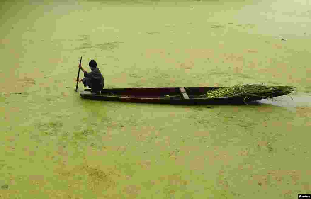 A boy paddles his boat along the weed-covered Anchar Lake in Srinagar, India.