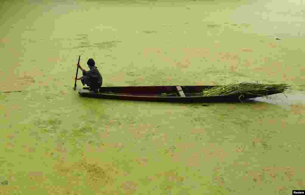 Seorang anak laki-laki mendayung perahu di Danau Anchar yang penuh dengan lumut di Srinagar, Kashmir-India.