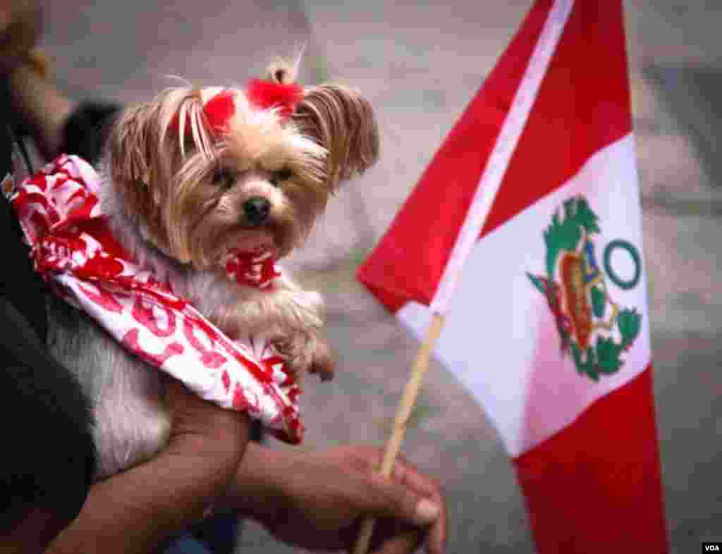 En Nueva Jersey la comunidad peruana también se reunió para celebrar el Día de la Independencia.