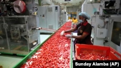 Workers package bouillon cubes at the Sweet Nutrition factory in Ota, Nigeria, Thursday, Sept. 12, 2024.