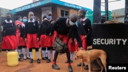 A boy strokes a dog before entering the Stara Rescue Centre and School during the reopening of schools, for the delayed academic year 2021, amid the novel coronavirus disease (COVID-19) pandemic, in Kibera slums of Nairobi, Kenya July 26, 2021.