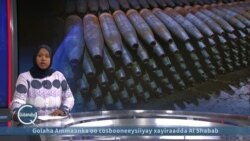 Trump oo hakiyey kaalmadii Ukraine 