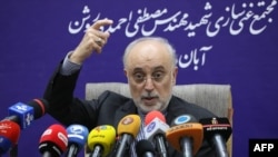 A handout picture released by Iran's Atomic Energy Organization on Nov. 4, 2019, shows the head of the organization Ali Akbar Salehi speaking at a press conference following a visit to the nuclear power plant in Natanz.
