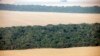 Environmental groups condemn new laws threatening soybean restrictions in Brazil's Amazon