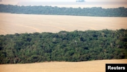 FILE - An aerial view of soy plantations flanking the Amazon forest in Mato Grosso state, Brazil, Sept. 8, 2011.