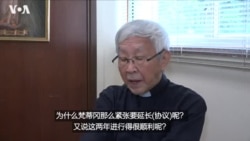 专访陈日君：梵蒂冈与中国续签临时协议或有政治目的
