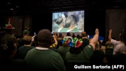 Supporters sud-africains lors de la finale de la Coupe du monde de rugby 2019 entre l'Angleterre et l'Afrique du Sud à Johannesburg, le 2 novembre 2019.