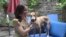 NYC Lost Dog USAGM