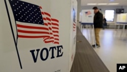 Glasanje u Clevelandu na izborima 2020. (AP Photo/Tony Dejak)
