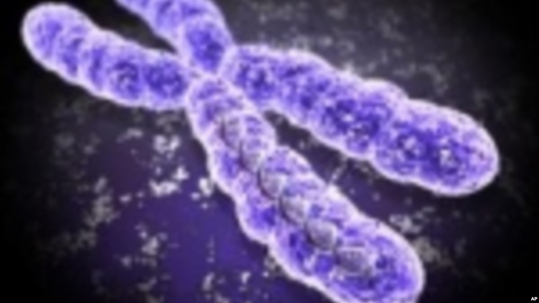 Chromosome