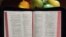 Bible (VOA)