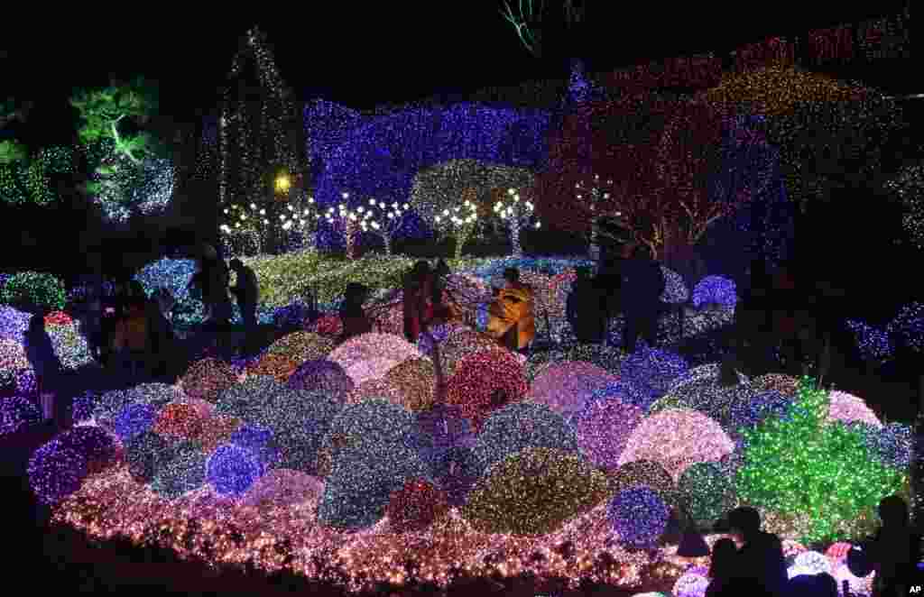 Visitors are silhouetted against illuminiated trees to celebrate the upcoming Christmas and New Year at Garden of Morning Calm in Gapyeong, South Korea.