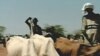 Les conflits entre éleveurs et agriculteurs augment dans le Sahel