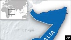 Briton Kidnapped in Somalia Reported to Be Well