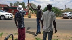 Udaba Esilethulelwe NguMartin Ngwenya