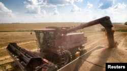 FILE - A combine harvester machine loads grain onto a transport truck near the southern Ukranian city of Nikolaev.