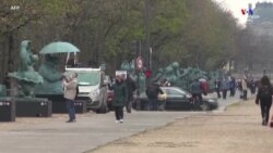 Բելգիացի ծաղրանկարիչ Ֆիլիպ Գելուկի երկու տասնյակ հսկա բրոնզե կատուների արձաններ կանգնեցվել են Փարիզի Ելիսեյան դաշտերում