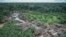 This May 8, 2018 photo released by the Brazilian Environmental and Renewable Natural Resources Institute (Ibama) shows an illegally deforested area on Pirititi indigenous lands as Ibama agents inspect Roraima state in Brazil's Amazon basin. 