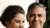 Кинокритики: «Потомки» с Клуни – один из лучших фильмов года