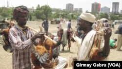 mekelle market