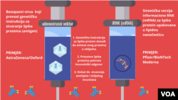 Adenovirusne vs. RNK vakcine
