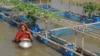 Bangladesh Overcomes Flooding with 'Floating Farms'