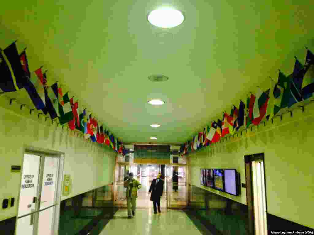 Bandeiras de todo o mundo nos corredores da VOA, em Washington