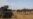 France Said to Be Mulling Sahel Troop Reduction
