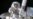 International Space Station Gets New Permanent Storage Unit