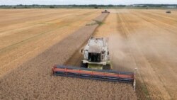 Ukraine Grain Crisis Causes Global Food Security Concerns