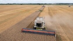 Daybreak Africa: Food Uncertainty For Africa As Russia Ends Grain Deal